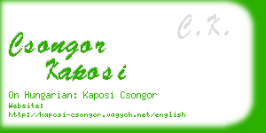 csongor kaposi business card